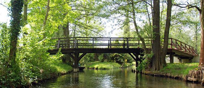 Spreewald in Brandenburg