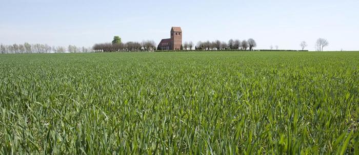 Wendland, Lüchow in Niedersachsen